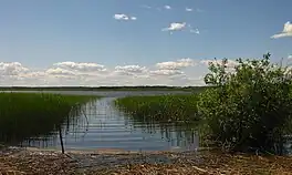 A sunny day at Keeri Lake