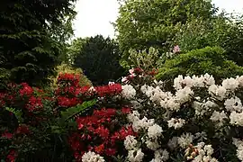 Kensington Gardens, near the Flower Walk