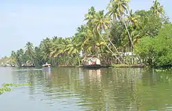 Kettuvallams line up in the Kuttanad region