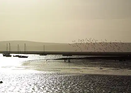 Image 81Winter sunshine at Keyhaven (from Portal:Hampshire/Selected pictures)