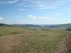 The Mongolian-Manchurian grassland in the Khövsgöl Province, Mongolia.