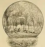 Drawing of Kinston Swamp by a member of the 45th Regiment Massachusetts Volunteer Infantry