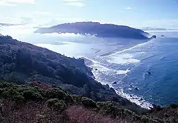 Image 11This estuary of the Klamath River is a transition zone between a freshwater river environment and a saltwater marine environment. Due to land runoff, river mouths and estuary waters can be turbid and nutrient rich, sometimes to the point of eutrophication. (from Coastal fish)