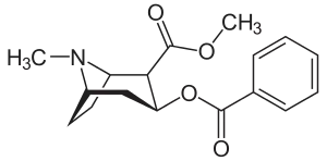 Cocaine, a precursor for anatoxin-a synthesis.