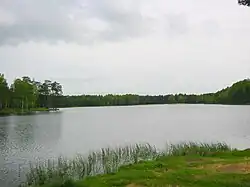 Lake Korkinskoye in Vsevolozhsky District