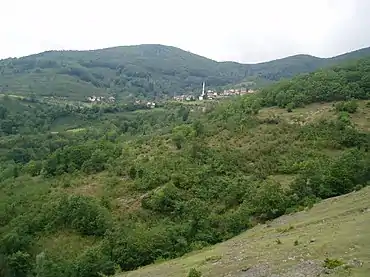 Hilly forest with town visible in the background