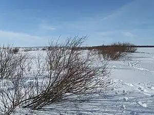 The eastern shore of the Kellon Kraaseli island, Haukipudas, Finland