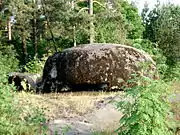 Type D rifle pit in Ruukinranta