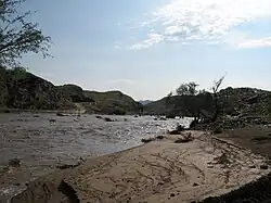 Riverscape of the Kuiseb River (Namibia)