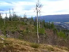 Gruben seen from Kvitbergan