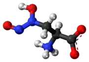 Ball-and-stick model of the L-alanosine molecule as a zwitterion