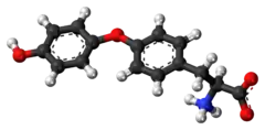 Ball-and-stick model of the L-thyronine molecule as a zwitterion