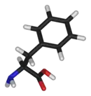 3D structure of L-phenylalanine