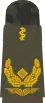 Generalarzt(hum.)