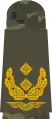 c. Major general (flecktarn uniform – Luftwaffe)