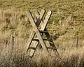 Ladder stile in Snowdonia