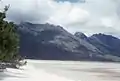 Photograph of Lake Pedder Beach, March 1966.