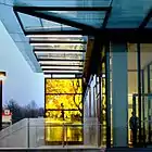 Leaves of Light, York University, Toronto, Ontario (2011)