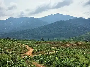 Mount Ledang, a large inselberg in the state of Johor, Malaysia