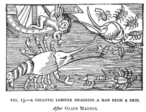 Giant lobster attacking ship. Lee, Henry (1884), p. 58, after Olaus Magnus (1555), Historia de gentibus septentrionalibus.