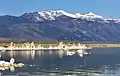 Lee Vining Peak (centered) seen from Mono Lake. Mount Warren to the right.