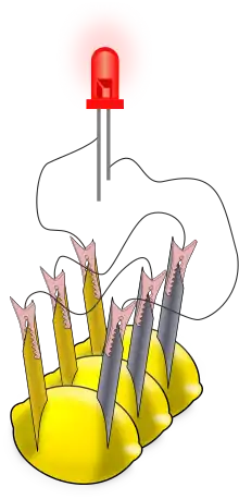 A drawing showing three lemons and a glowing red object (the LED). The LED has two lines coming out of its bottom to represent its electrical leads. Each lemon has two metal pieces stuck into it; the metals are colored differently. There are thin black lines, representing wires, connecting the metal pieces stuck into each lemon and the leads of the LED.