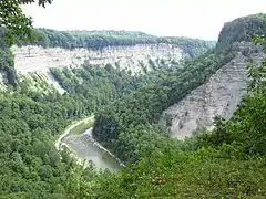 Genesee River Canyon downstream of the falls