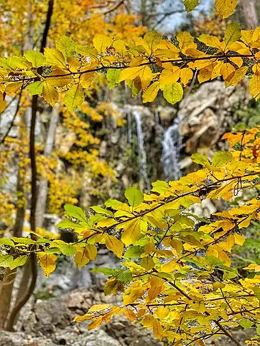 Caledonian Waterfalls, Limassol. Cyprus