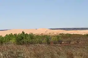 A photo of sand dunes in Little Sahara State Park