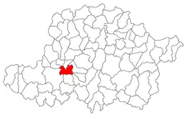 Location in Arad County