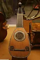 Lombard mandolin with twelve strings (six courses)