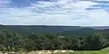 Northern Section of the Cove from the end of Rattlesnake Spring Road in Summer.  In the distance is northern Alabama