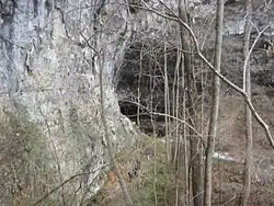 Lost Cove Cave From Cliff