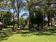 Picnic lawns