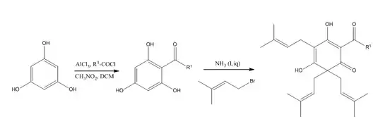 Lupulone synthesis