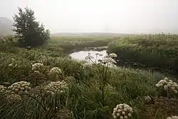 Mädara river in Mädara village