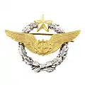 Flight Doctor's Badge