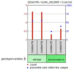 MEKK 2/3 Knockout Experiment13