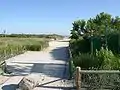 footpath to the beach