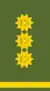 Lieutenant general