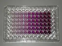 A microplate with liquids in a range of red colors