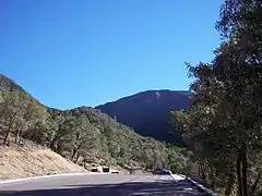 View of the Santa Ritas from Madera Canyon.