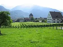 View of the castle and surroundings