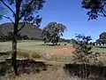 Farm in vicinity of Maindample, The Paps reserve in background