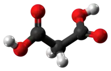 Ball-and-stick model of the malonic acid molecule