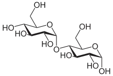 α-Maltose