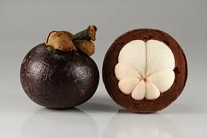 Garcinia mangostana (purple mangosteen) with white, edible endocarp