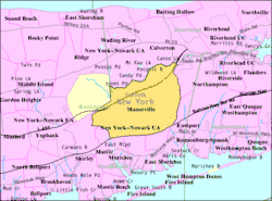 U.S. Census map