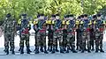 Troupes de marine on parade