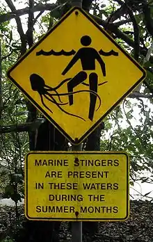 A signpost warns swimmers of the presence of Chironex fleckeri (box jellyfish)